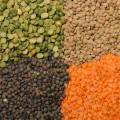 Source High-Quality Lentils from Turkey for Bulk Supply